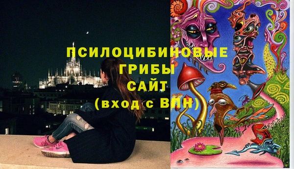 амф Абдулино